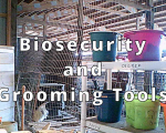 Biosecurity and Grooming Tools