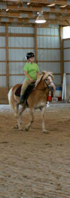 English Riding Lessons at Pretty Pony Pastures