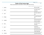 Parts of the horse Worksheets