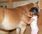 Grooming a horse