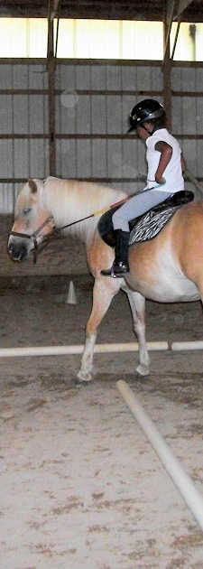 Junior Girl Scouts earning their badge at Pretty Pony Pastures