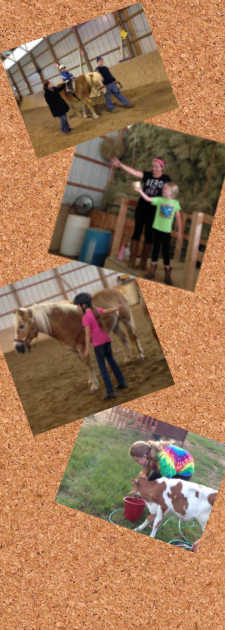 School programs at Pretty Pony Pastures