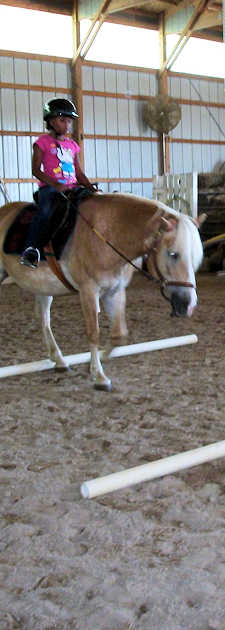 Youth Groups at Pretty Pony Pastures